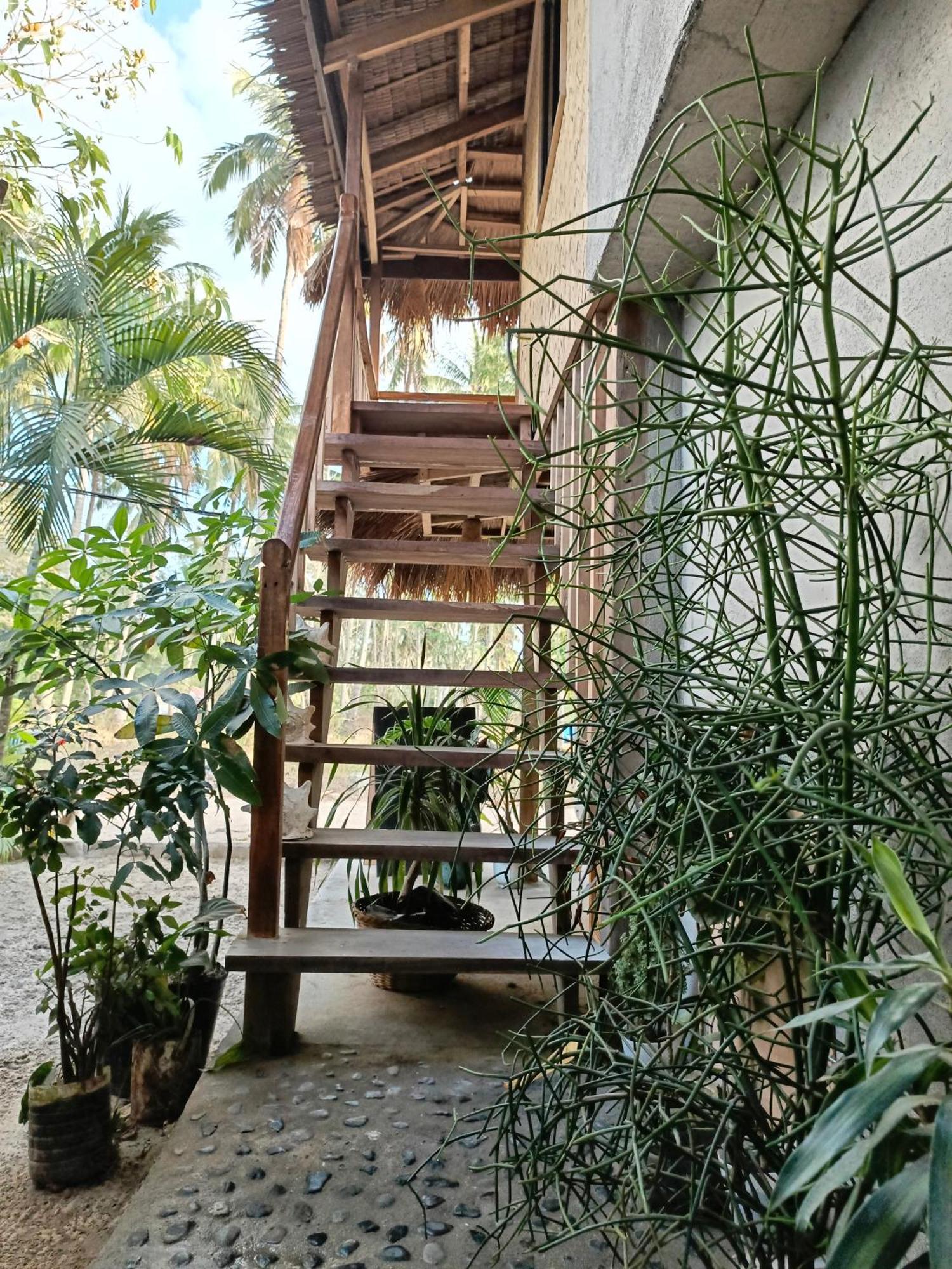 Zhaya'S Beach & Cottages El Nido Ngoại thất bức ảnh