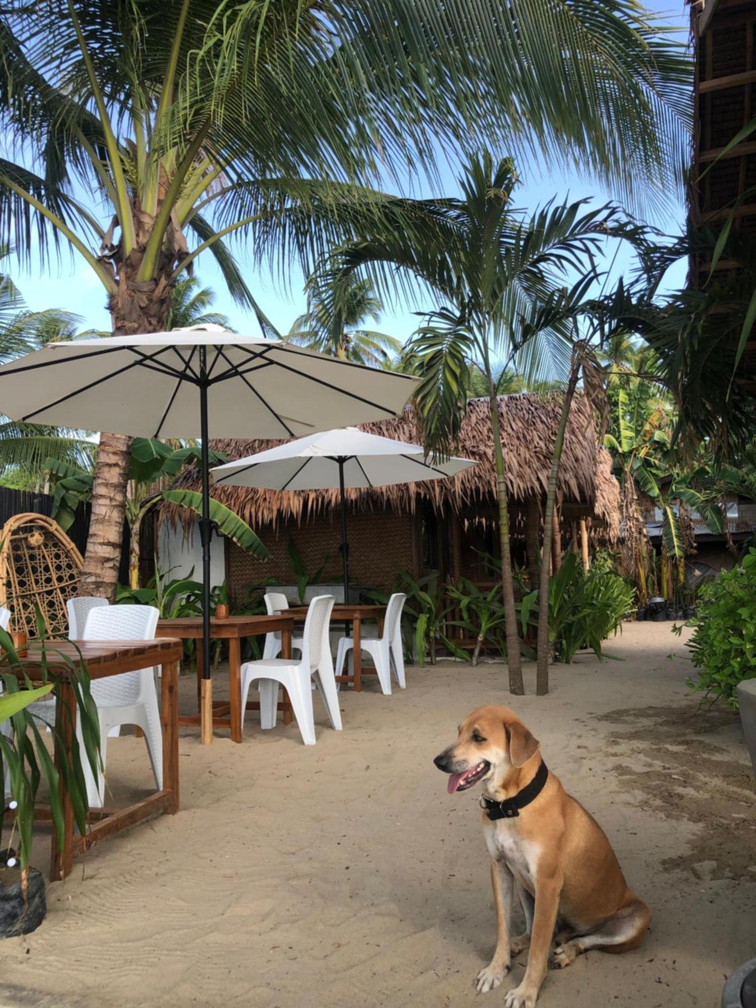Zhaya'S Beach & Cottages El Nido Ngoại thất bức ảnh