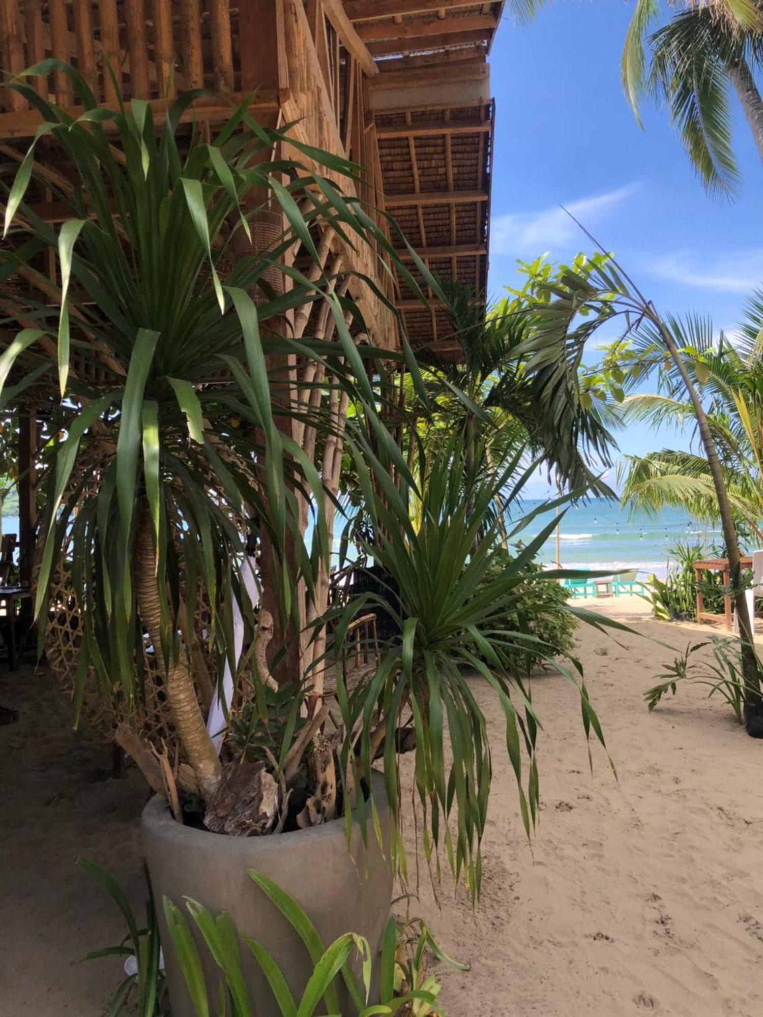 Zhaya'S Beach & Cottages El Nido Ngoại thất bức ảnh
